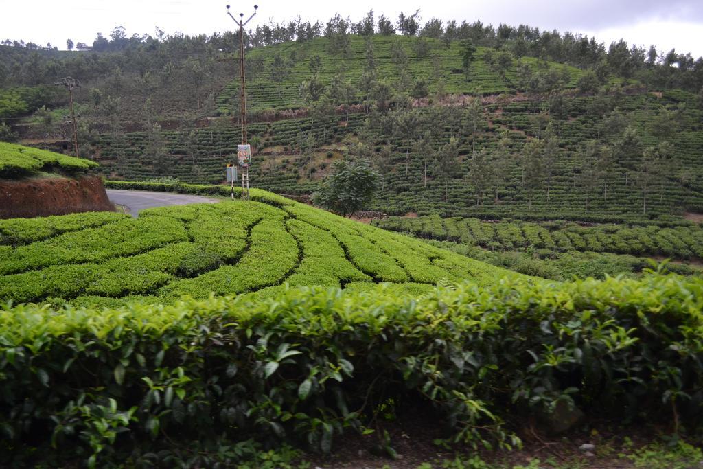 Ferndale Homestay Thekkady Exterior foto