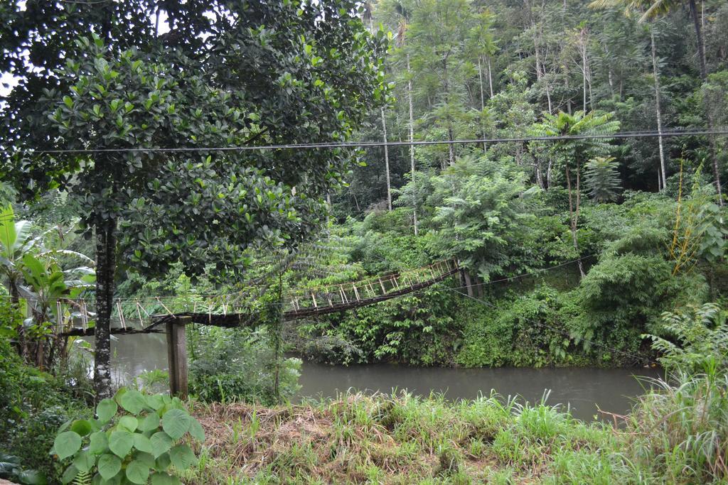 Ferndale Homestay Thekkady Exterior foto