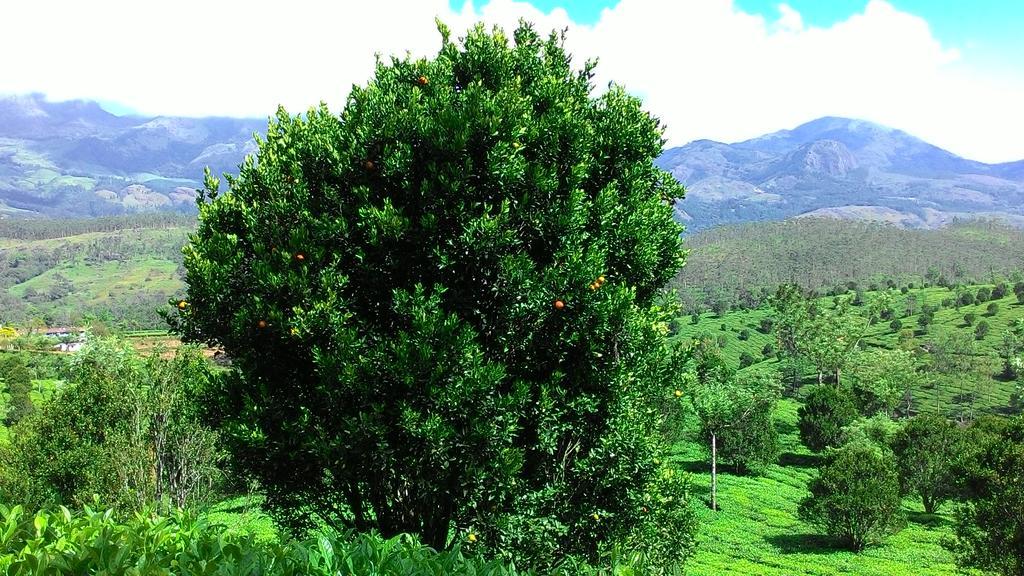 Ferndale Homestay Thekkady Exterior foto